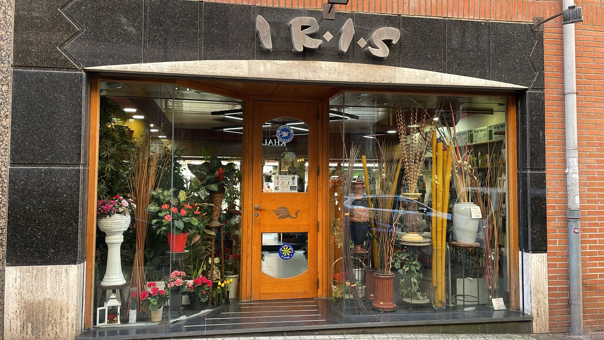 whatsapp-image-2026-03-11-at-094636-1