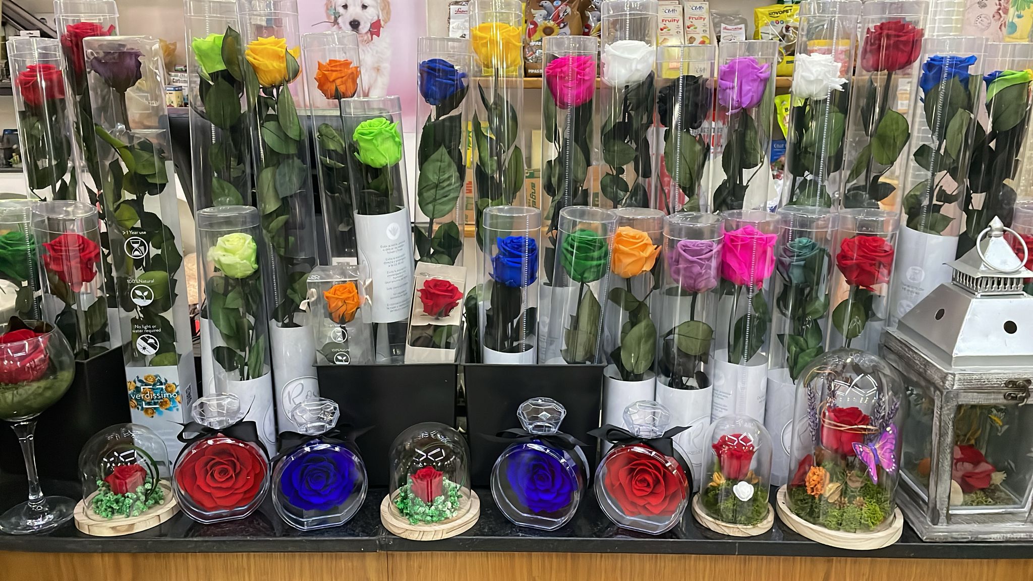 whatsapp-image-2026-03-11-at-094636-4